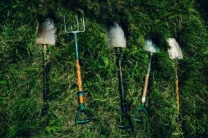 dylan nolte dusmf f bjg unsplash