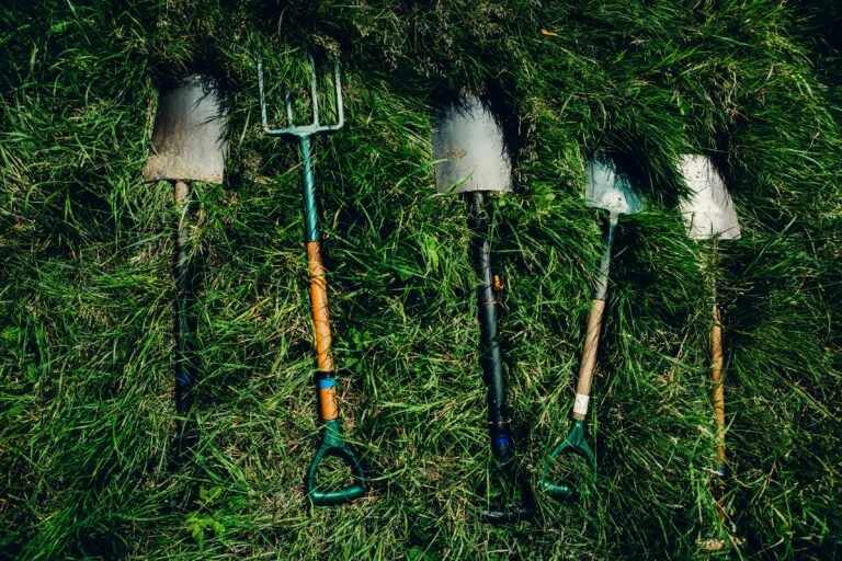dylan nolte dusmf f bjg unsplash