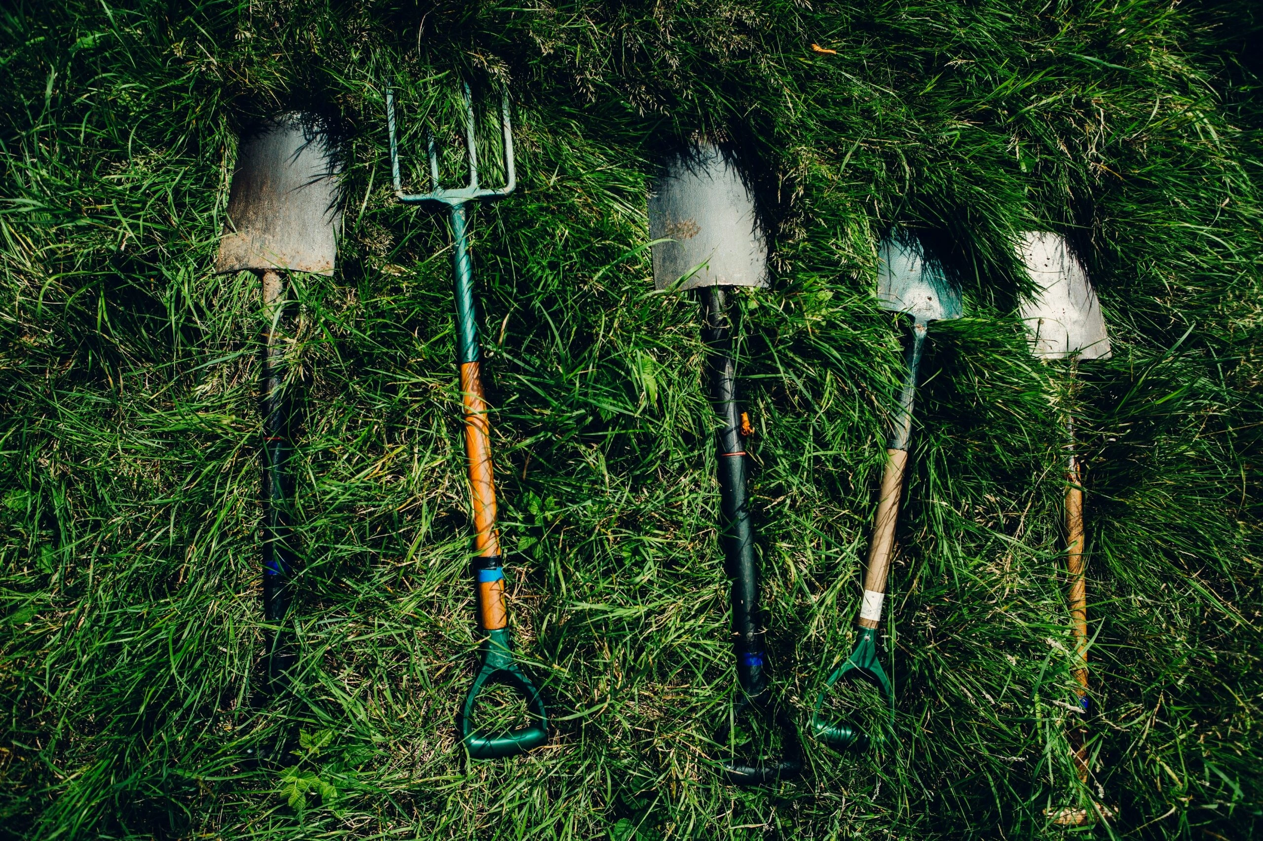 dylan nolte dusmf f bjg unsplash