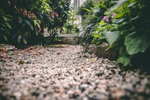 james coleman g85hod6wcpm unsplash