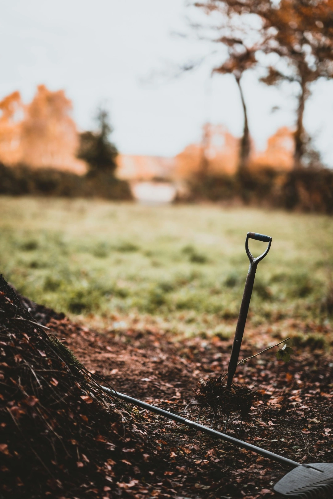 annie spratt j4fv6dkt9tw unsplash