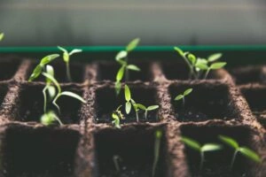 markus spiske vrbzvyx2k4i unsplash